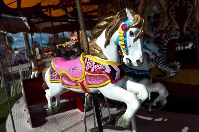 The Impact of Algorithmic Recommendations on Consumer Behavior in Entertainment