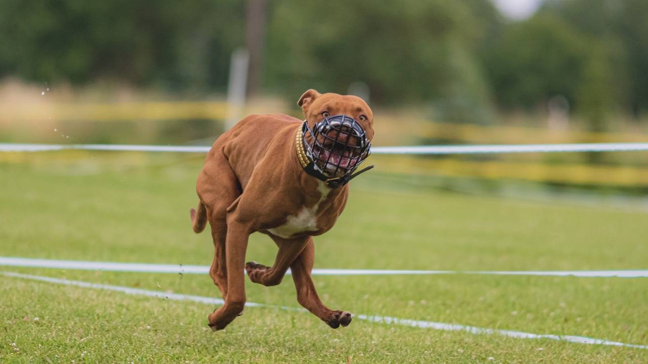 Impact of Technology on Skin Health Monitoring and Treatment