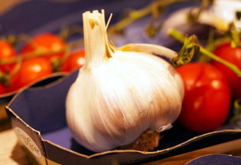 Traditional vs. Modern Cooking Techniques