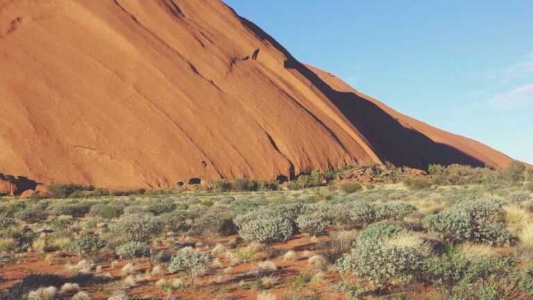 How To Register On 99Exch After Download?